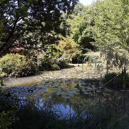 Le Chalet De La Grenouille Verte Tursac Eksteriør bilde