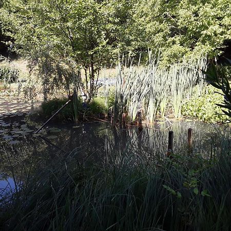 Le Chalet De La Grenouille Verte Tursac Eksteriør bilde