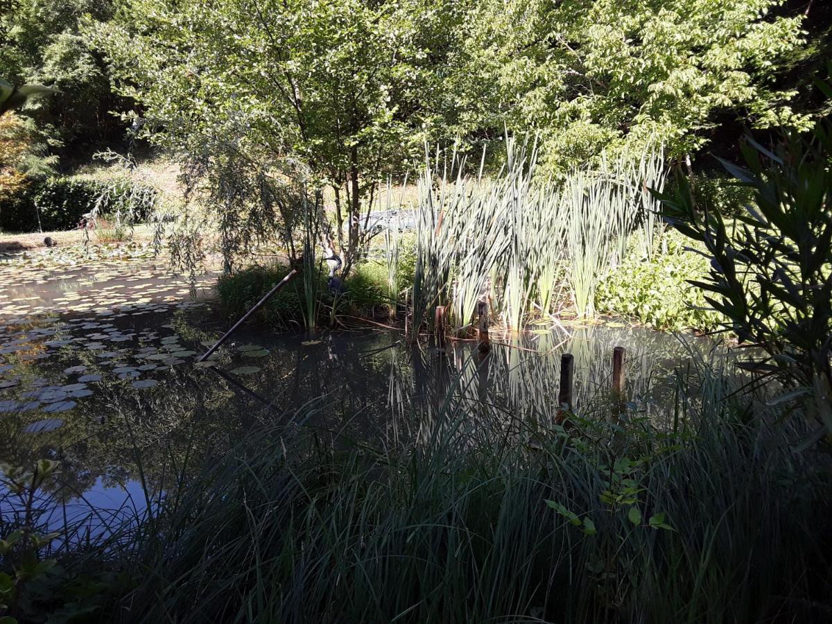 Le Chalet De La Grenouille Verte Tursac Eksteriør bilde